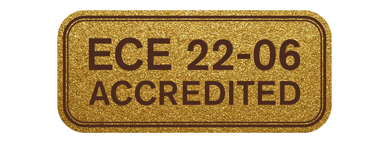 ECE 22-06 gold sticker